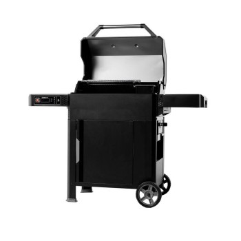 Masterbuilt AutoIgnite Series 545 Digital Charcoal Grill & Smoker Masterbuilt AutoIgnite Series 545 Digital Charcoal Grill & Smoker