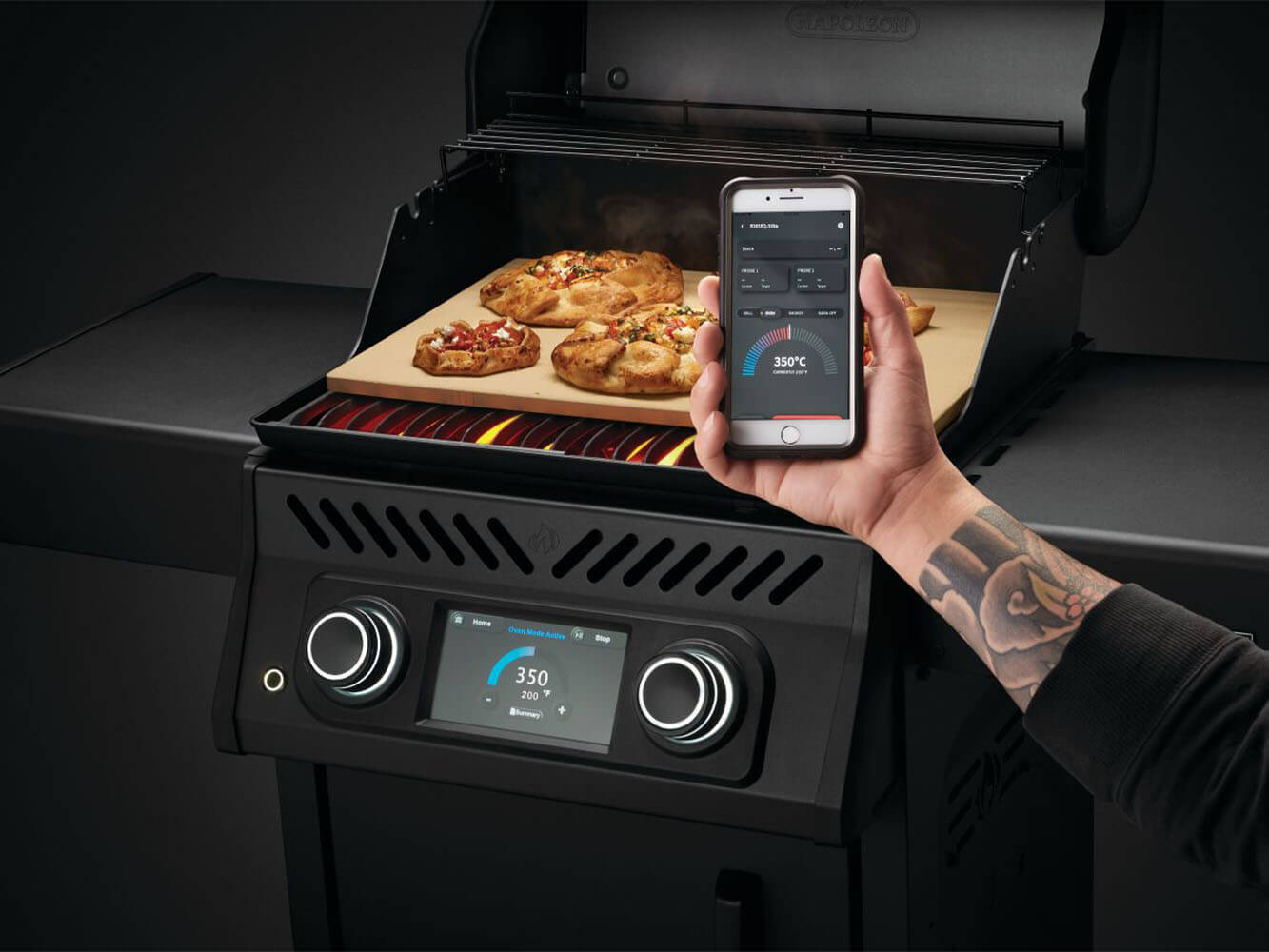 Napoleon REQ 365 Electric Grill