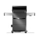 Napoleon Barbecue à Gaz Rogue PRO-S 425 RSIB Noir