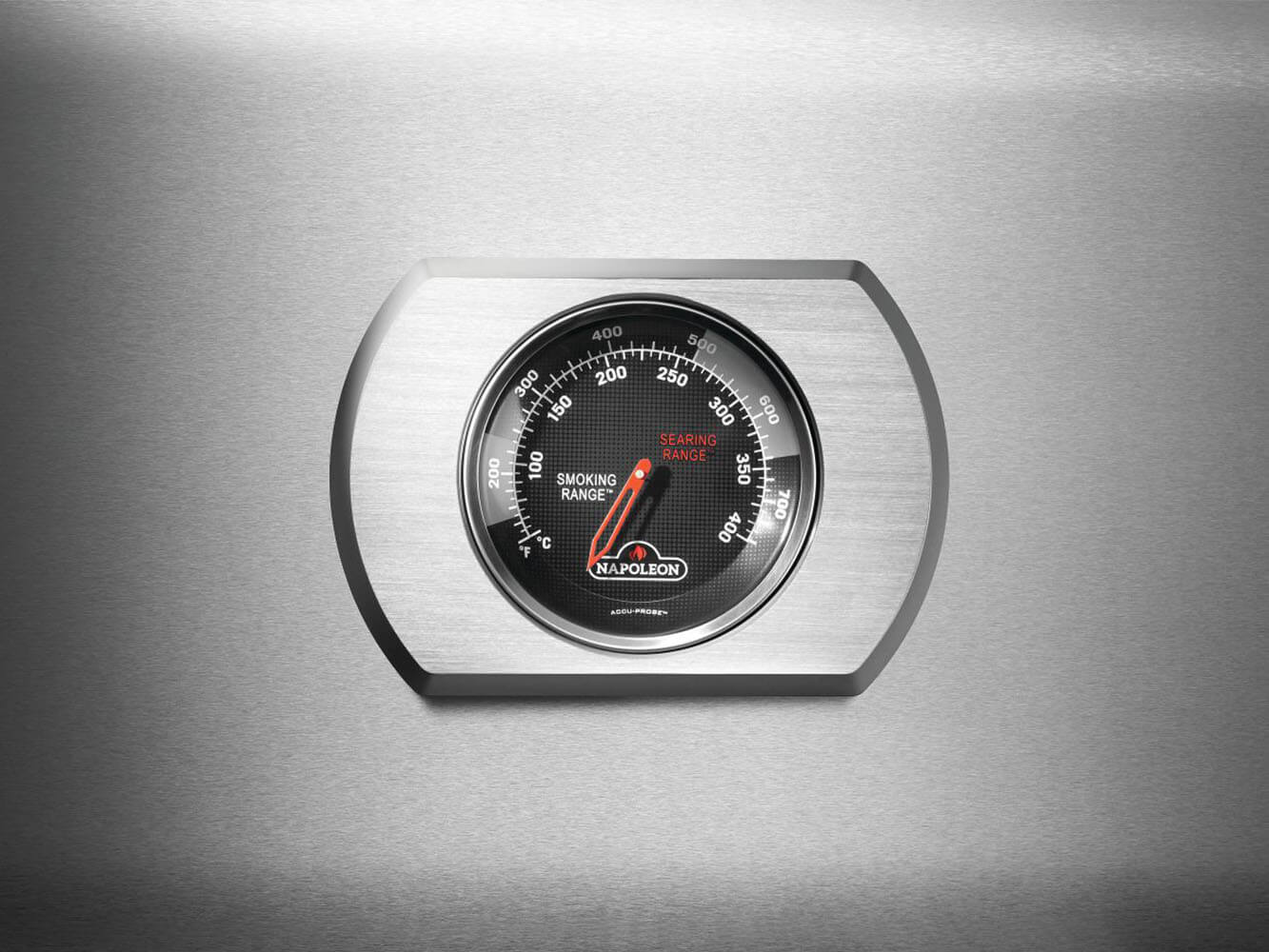 Napoleon Barbacoa de Gas Rogue PRO-S 525 RSIB