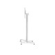 Base Scudo High