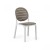 Tortora / White 