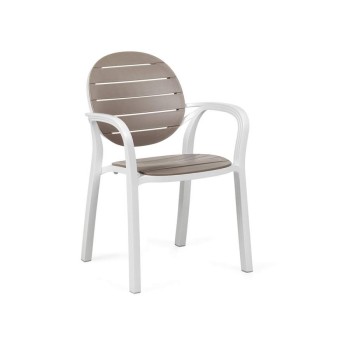 Silla Palma Silla Palma